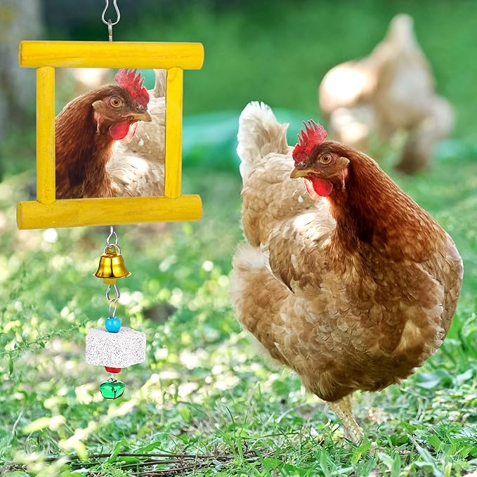 Chicken Toys - 1pc Hanging Bell Parrot Chicken Swing Mirror + 2pcs Beak Grinding Stones for Enrichment, Perfect for Coop, Birds, Parrots, Hens, Roosters, and More