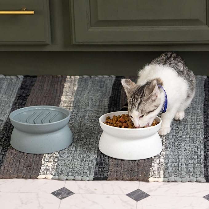 Kitty City Elevated Slow Feeder Cat Bowls (Set of 2), Whisker-Friendly Raised Cat Food Dishes with Ridges, Helps Reduce Fast Eating & Digestion Issues, Dishwasher Safe, 10.8 oz – White & Gray