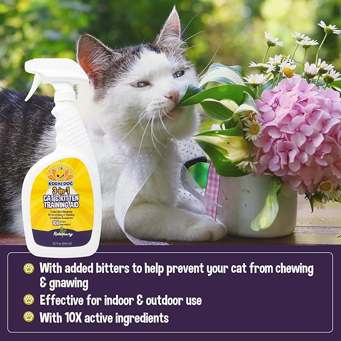Bodhi Dog 3-in-1 Cat & Kitten Training Aid - Feline Deterrent Spray for Indoor and Outdoor Use - Protect Furniture, Rugs and Plants - Establish Boundaries & Keep Cats Off - Made in USA (32 Fl Oz)