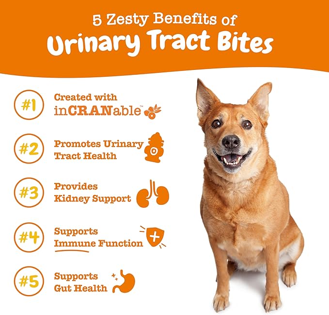 Zesty Paws Cranberry Supplement for Dogs - Bladder Control for Dogs - Urinary Tract Support - Cranberry Chews - Immune & Gut Support - Chicken - 90 Count