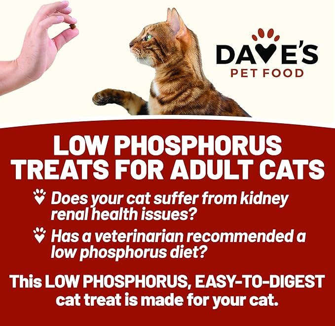 Dave's Pet Food Renal Cat Treats for Cat Kidney Support, (New Recipe!) Semi-Moist Healthy Treats with Kidney Support for Cats, Made in USA (2 Pack)