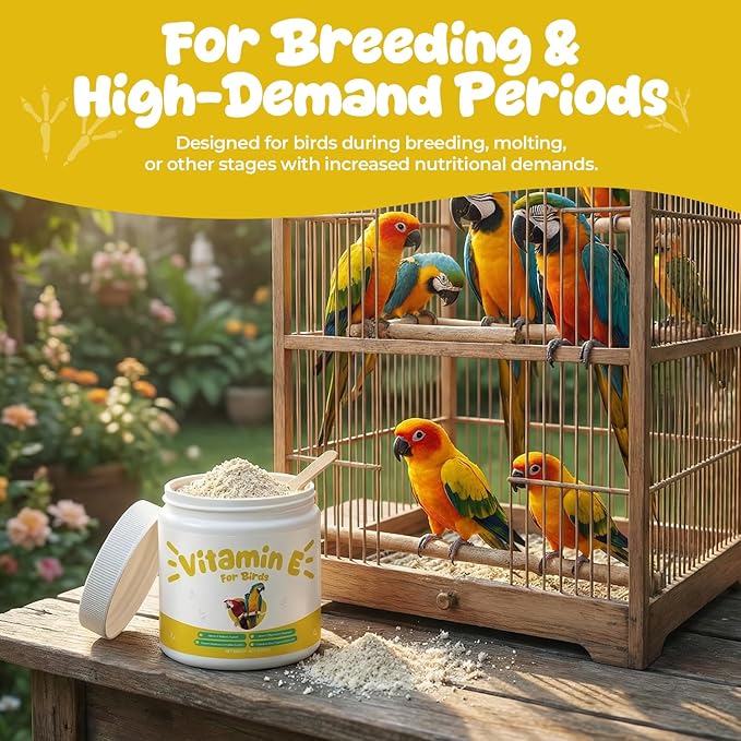Vitamin E Supplement for Birds – Powder Vitamin E Supports Feather Condition & Cellular Function, Daily Nutrition Support