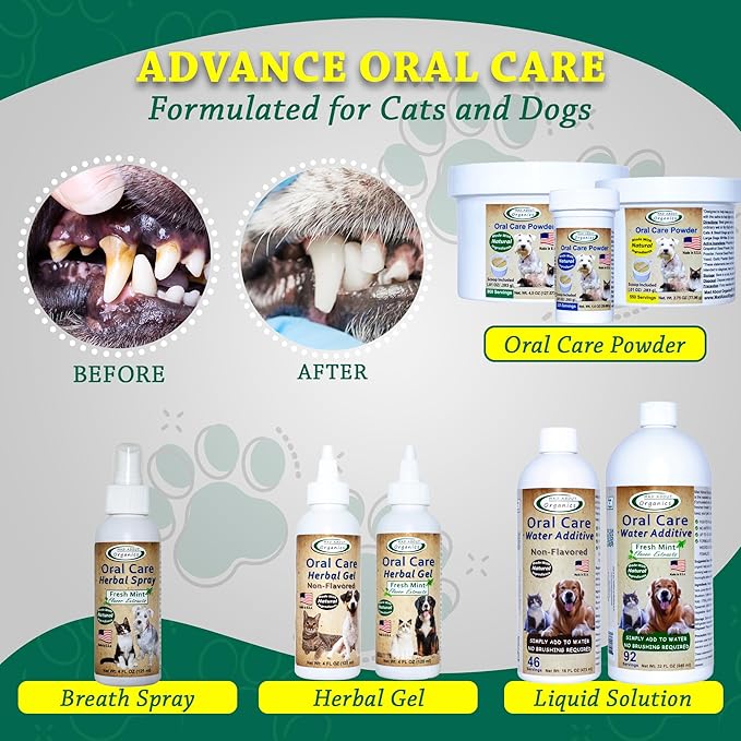 Oral Care Water Additive for Cats & Dogs – Gentle Dental Support – Reduces Breath Odors, Promotes Gum Health – No Brushing – Convenient for Daily Use, Non-Flavored, 32 FL oz