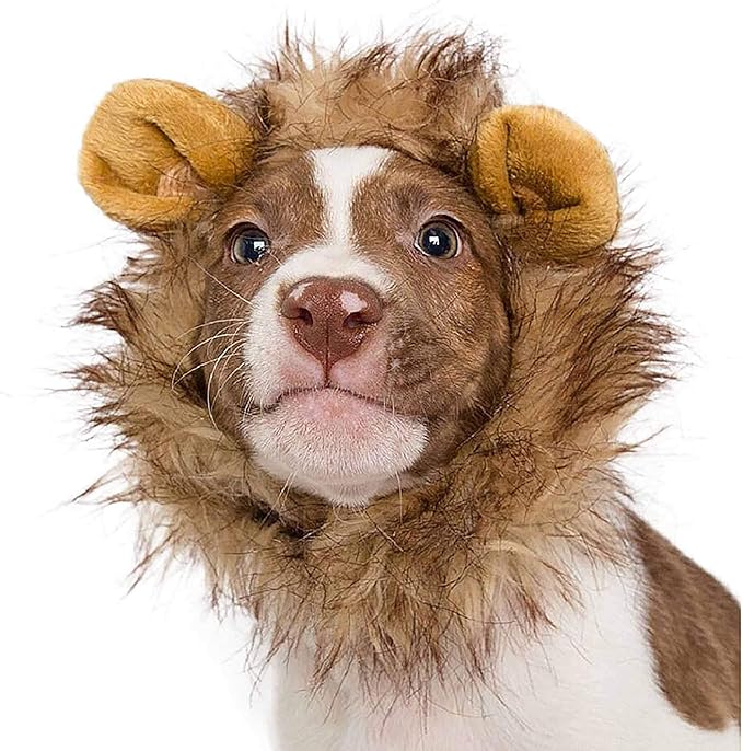 Pet Krewe Lion Mane Halloween Costume for Large and Small Dogs - Ideal for Halloween, Birthday, Cosplay, Outfits, Pet Clothes (Cat Small)