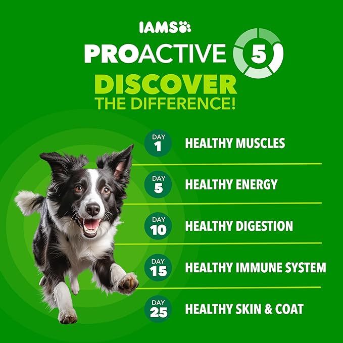 IAMS Proactive Health Adult Dry Dog Food Beef and Rice Recipe, 7 lb. Bag