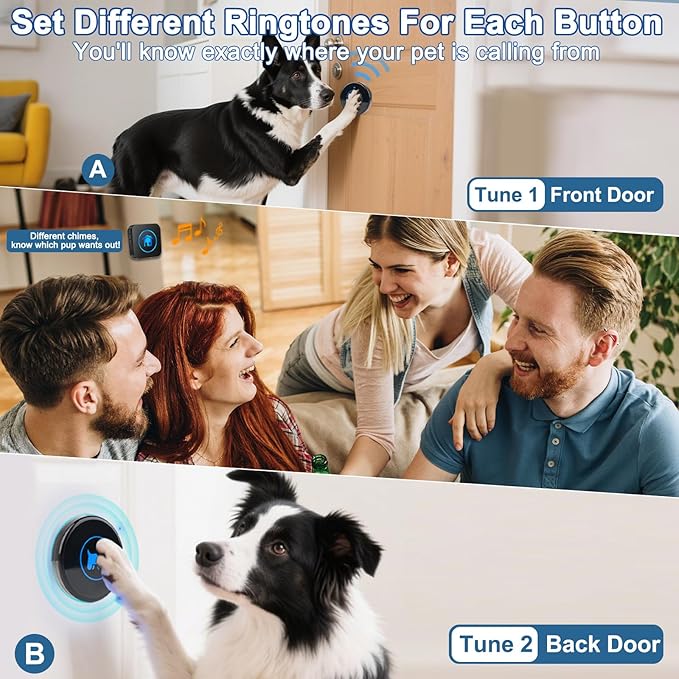 High Sensitivity Dog Door Bell 2026 Version, Dog Doorbells for Potty Training – Dog Bells to Go Outside, 1000Feet Range, Waterproof Button, 55 Melodies & 5 Notification Modes (1 Button)