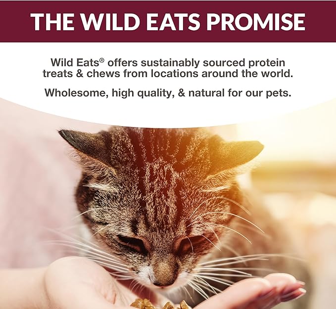 Wild Eats Lickable Cat Treats Exotic Fish Variety Pack 12ct - Ahi Tuna, Wild Pink Salmon, Red Snapper - Puree Bisque