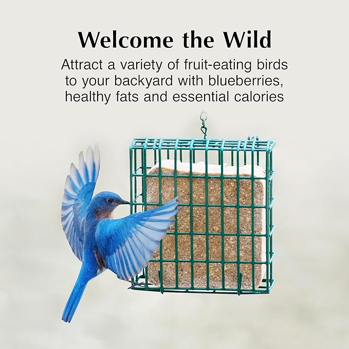 C&S Berry Delight No Melt Suet Dough, Suet Cakes for Wild Birds, 11.75 Ounces, Pack of 8