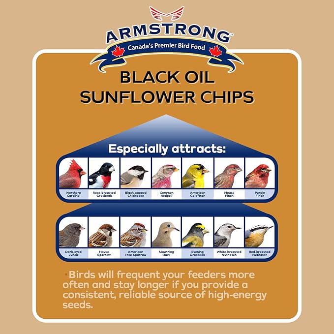 Armstrong Wild Bird Food Black Oil Sunflower Chips, 4 Pounds - for Northern Cardinals, American Goldfinches and Black-Capped Chickadees - Ideal for Outside Feeders