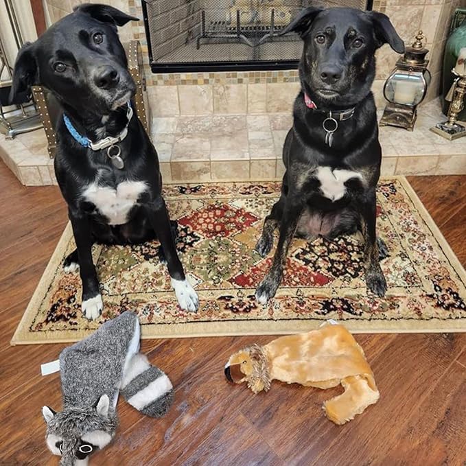 Best Pet Supplies Squeaky Dog Toys with Soft Durable Fabric for Small, Medium and Large Pets Interactive Toy for Indoor Play, Supports Active Biting and Play - Fox, Raccoon, Medium