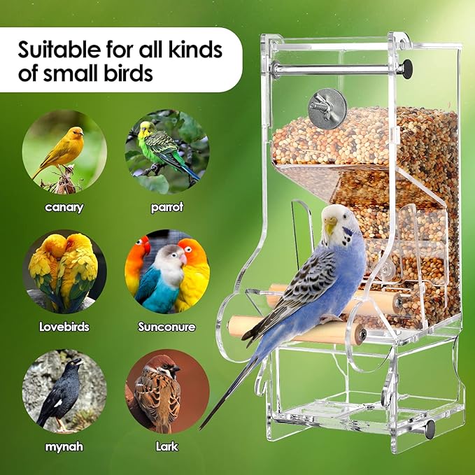 Hosukko 2PCS No Mess Bird Feeder, Transparent Acrylic, Reducing Waste, Suitable for Small Birds