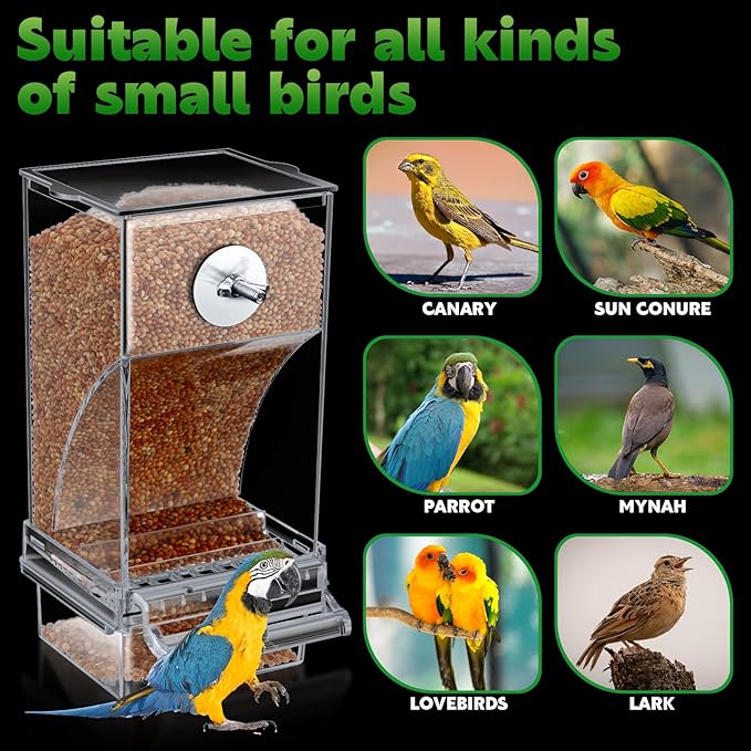 Yaomiao 4 Pcs No Mess Small Bird Feeders Automatic Parakeet Water Dispenser Clear Quail Feeder and Watered Cage Accessories for Small and Medium Parakeet Cockatiel Canary(Seed Feeder,Transparent)