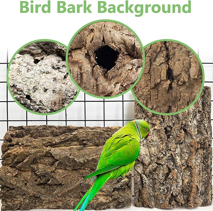 Cork Bark Perch for Birds 12"x8" Natural Cork Chewing Toy 2 PCS Flat Budgies Bark Seat Board Wood Bark Background Decor Panel Birdcage Accessories for Parakeet Lovebirds Cockatiels Conures