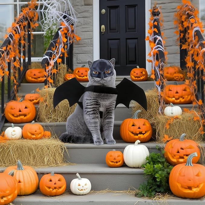 Cat Halloween Costumes, Cat Bat Mask and Bat Wings Set for Halloween Party Decoration, Pet Cosplay Costume for Cats and Small Dogs(Mask and Large Wings)