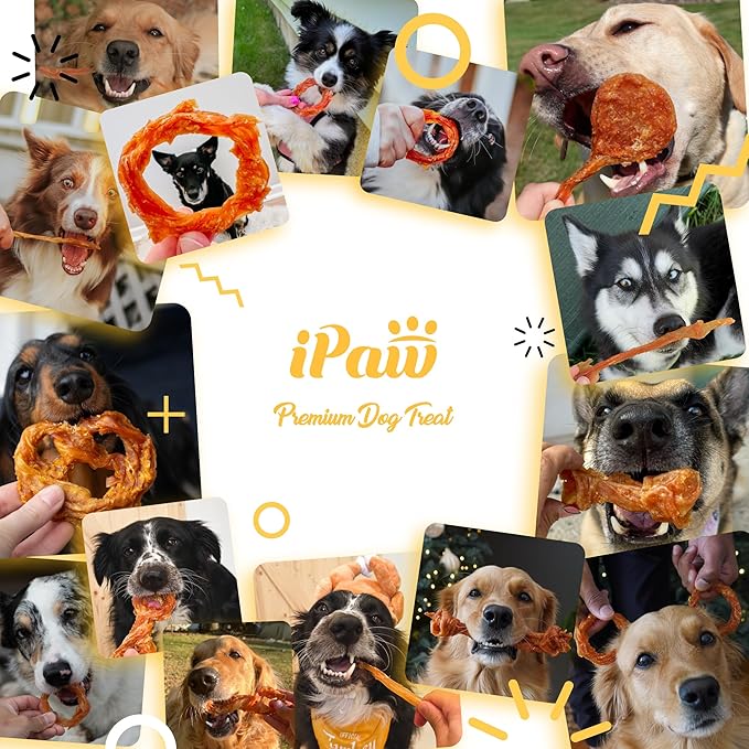 iPaw Turkey Tendons for Dogs 40 Pcs Bulk Pack, 100% Turkey and US Sourced Raw Material, Hypoallergenic, All Natural Human Grade Puppy Chew, Rawhide Alternative Dog Treats, Lollipop (Small)