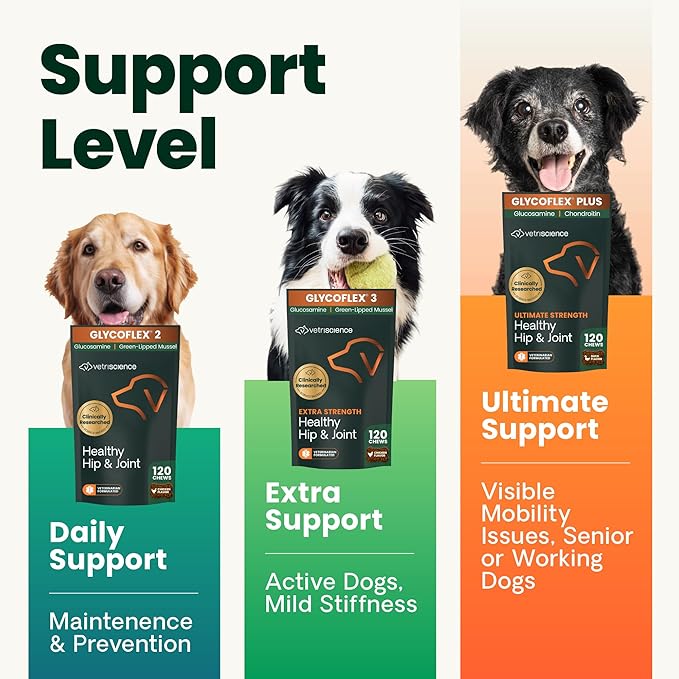 VetriScience Ultimate Strength Hip & Joint Supplement for Dogs, GlycoFlex Plus – MSM, Chondroitin & Green-Lipped Mussel Chews for Mobility, Flexibility, Comfort & Support, Peanut Butter Flavor 120 Cnt