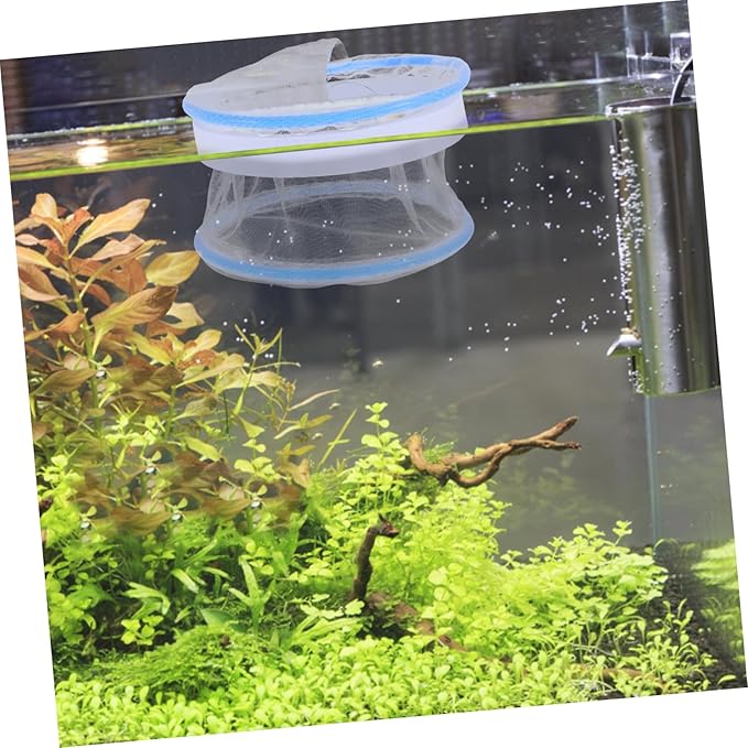 TOYANDONA 2Pcs Transparent Floating Hatchery Box Nylon Mesh Breeding Tank Dividers for Guppy Fry Isolation for Aquariums Fish Breeding Stable Design for Healthy