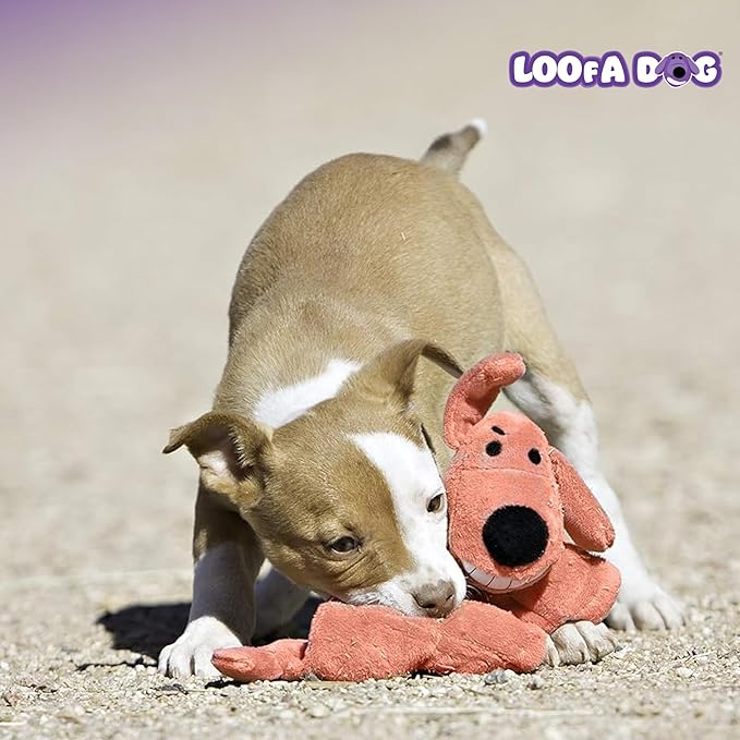 Multipet Original Loofa Dog Plush Toy - Squeaky Toy for All Dogs - Extra Soft Plush - Stuffed Animal Dog Toys for Playing (1 Count, 24”, Random Color Surprise)