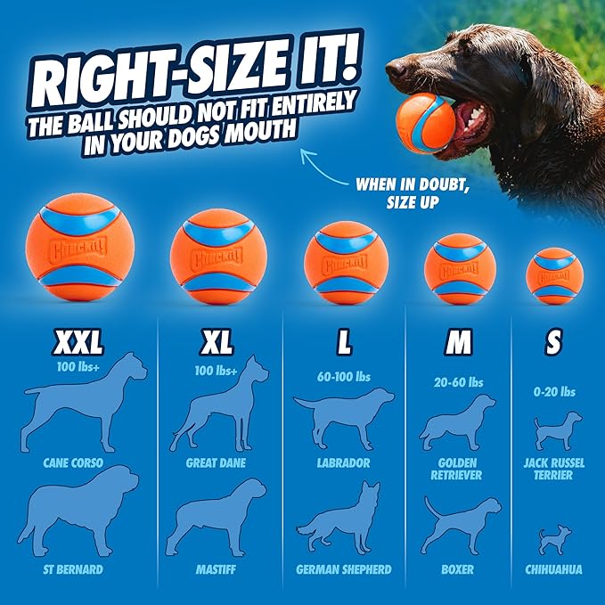 Chuckit! Dog Ball Launcher 12M Sport with 12" Handle Length for Medium 2.5" Dog Balls For Dogs 20-60 lb, Plastic Pet Fetch Ball Thrower, Perfect for Kids, Made in USA, Blue