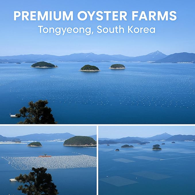 | Oyster Shell Flour 4.4lb – Finely Ground Calcium Material for Chickens, Ducks, Birds, Reptiles, Amphibians, and More – Crushed Oyster Shell Alternative | 굴껍질가루 (1lb)