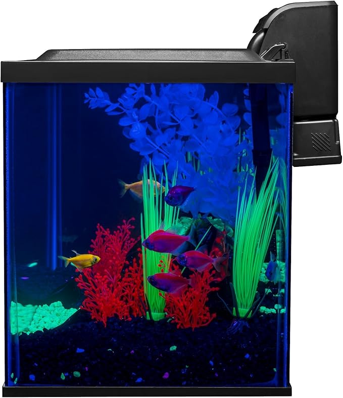 Glofish 10 Gallon Aquarium Fish Tank Kits, Includes LED Lighting and Décor (Amazon Exclusive)