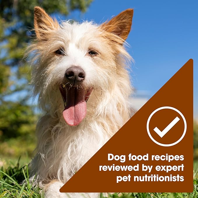 Nature's Recipe Grain Free Wet Dog Food Variety Pack, Chicken Recipes with Beef, Turkey & Lamb in Savory Broth, 2.75 oz. Cups (Pack of 12), 2 Count