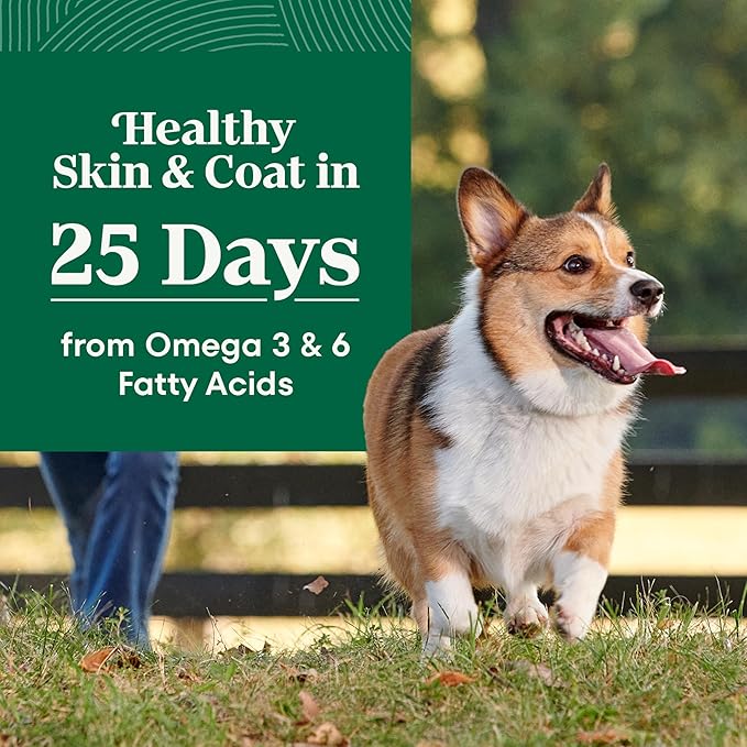 Nutro Natural Choice Small Bites Dry Dog Food, Adult Dog Food Dry Chicken and Brown Rice Recipe, 30 lbs.