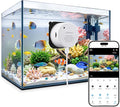 litokam Reptile & Aquarium Camera, 2K Anti-Glare Fish Tank & Terrarium Camera with Close-Focus Lens, 147° Ultra-Wide Angle, F1.0 Aperture, 3X Zoom, 24/7 Recording, 2.4G/5GHz WiFi