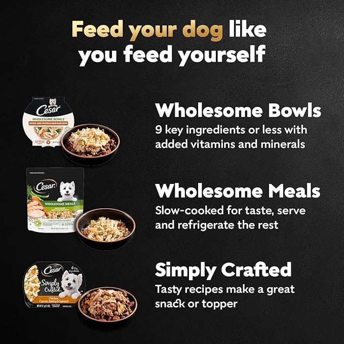 Cesar Wholesome Bowls Adult Wet Dog Food, Chicken, Recipe, Wet Food for Dogs, 3 Oz. Bowls, 10 Count