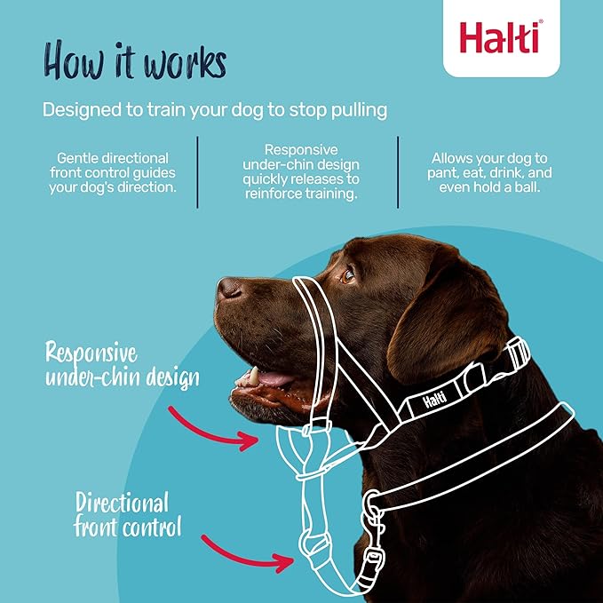 Halti Headcollar - Stop Your Dog Pulling on The Leash. Adjustable, Reflective and Lightweight, with Padded Nose Band. Dog Training Anti-Pull Collar for Small Dogs (Size 1, Burnt Orange)