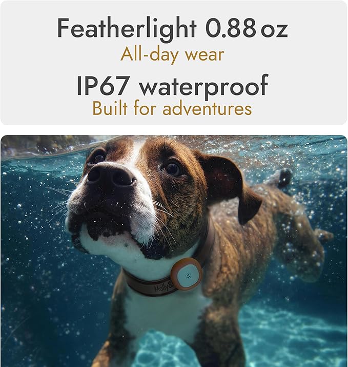 Molly&Cody GPS + Bluetooth Pet Tracker for Cats & Dogs – Real‑Time Tracking, Virtual Fence, IP67 Waterproof, Up to 60‑Day Battery, Health Monitoring, iOS/Android – Subscription Required (White)