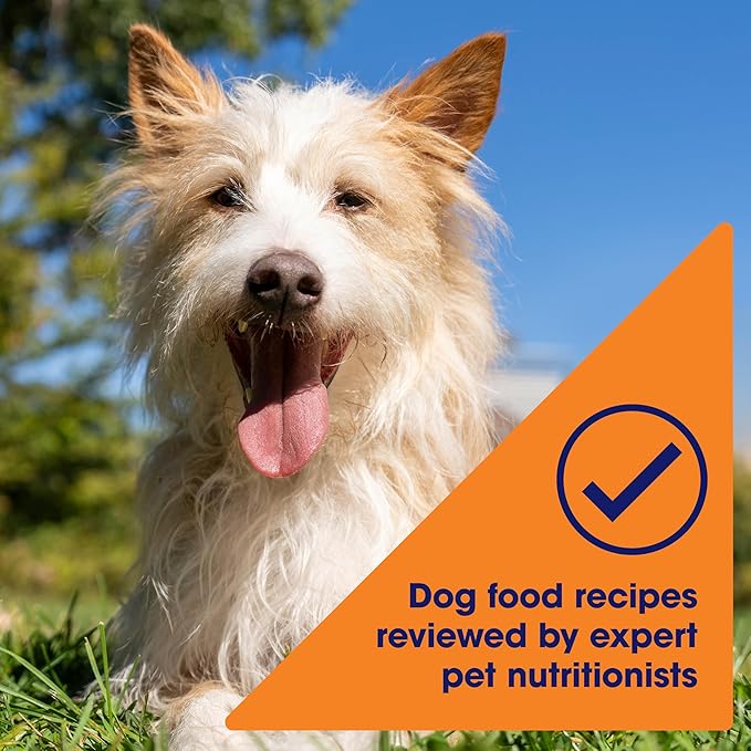 Nature's Recipe Grain Free Chicken Recipe in Savory Broth Wet Dog Food, 2.75 oz. Cup, 12 Count