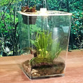 Reptile Terrarium Aquarium Breeding Tank, Transparent Acrylic Breeding Box Creative Desktop Reptile Box Spider Scorpion Pet Hatching Breeding Box Habitat Terrariums Habitat Box with LED Night Light