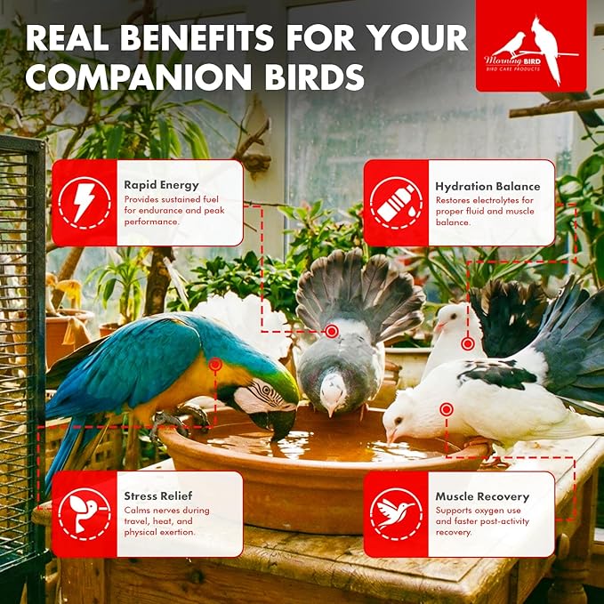 Morning Bird Vitalize for Birds 2 oz – Stress & Dehydration Support – Promotes Hydration, Energy, Balance & Muscle Recovery – Water-Soluble Supplement for All Bird Species
