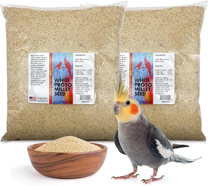 Morning Bird White Proso Millet 18 lbs (2-Pack, 9 lbs Each) Natural Bird Seed – Supports Feather Growth & Balanced Nutrition – High Energy Delicious Seed - Ideal for Finches, Parakeets & Pet Birds