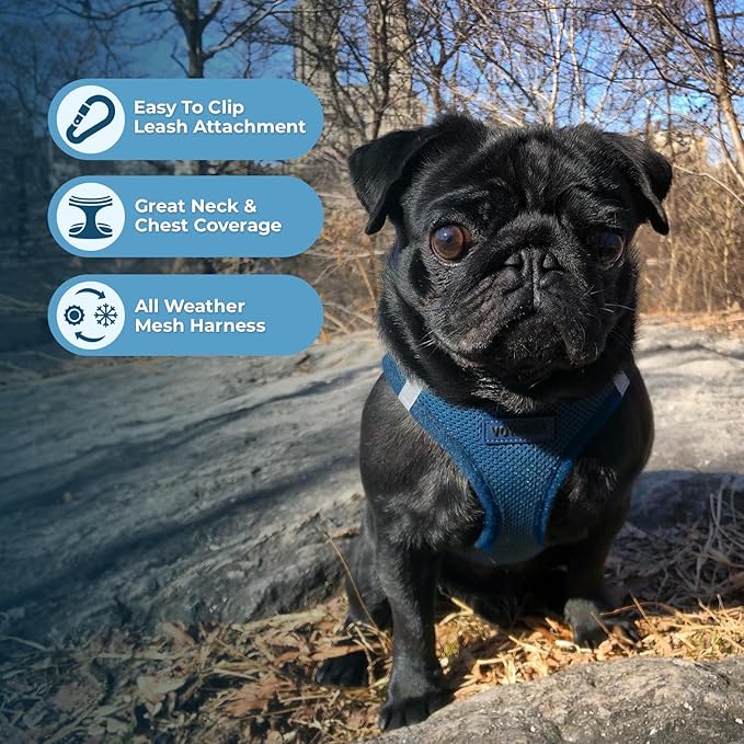 Best Pet Supplies Voyager Step-in Air Harness - All Weather Mesh, Reflective, No Pull Harness for Dogs, Cats - Secure with Hook & Loop Fastener, Buckle, Double D-Rings - Blue, L