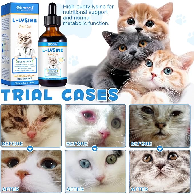 ALIVO L-Lysine for Cats, Immune Support Drops for Cats Feline Respiratory Health, Sneezing & Runny Nose - Pet Liquid Supplement for Eye Function & Cat Cold Relief - Chicken Flavor, 2 fl oz / 60 ml