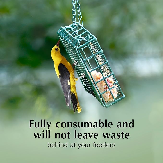 C&S Oriole Delight No Melt Suet Dough, Suet Cakes for Wild Birds, 11.75 Ounces, Pack of 8