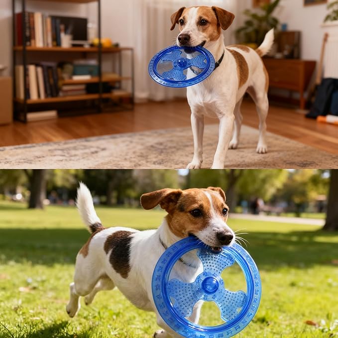 Dog Flying Disc, Outdoor Dog Toys, Dog Fetch Toy, Dog Toy for Medium Dogs and Large Dogs, Lightweight Soft Frisbee for Fetch, Tug of War, Catch, Play, 9 inch, Blue