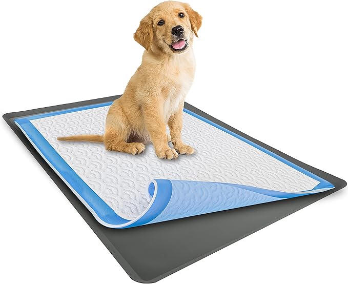 TidyFriend Dog Pee Pad Holder Tray Fits for 28” x 30” Wee Wee Pee Pads - Stable Grip, Raised Edges, Quick-Wipe Silicone Surface Dog Potty Tray Holder for Indoor Flooring Protection (Grey)