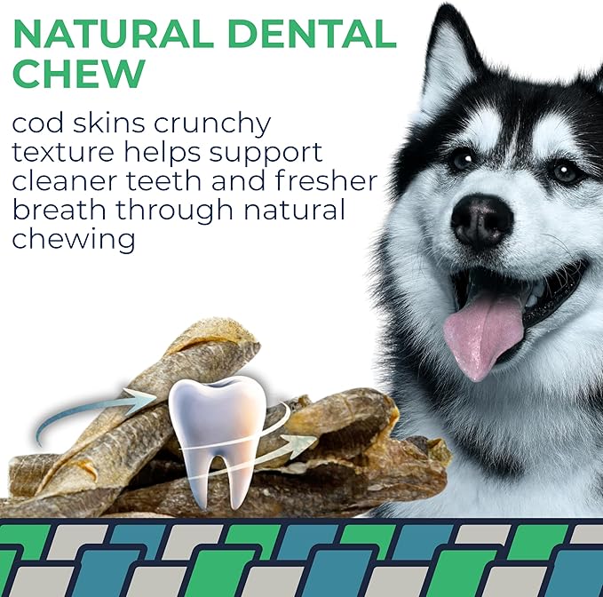 Momentum Carnivore Nutrition Tiny Cod Twists Dog Chews – Single Ingredient Icelandic Cod Skin Treats – Natural Dental Support, High-Protein Fish Chews – 3.1 oz Bag