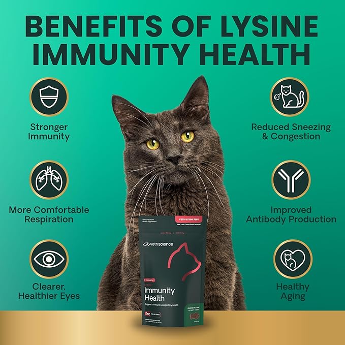 VetriScience Lysine Immunity Health Chews, 250 mg Lysine Plus Immune Supplement for Cats and Kittens with Allergies, Sneezing, Runny Nose and Watery Eyes, Chicken,90 Count (Pack of 2)