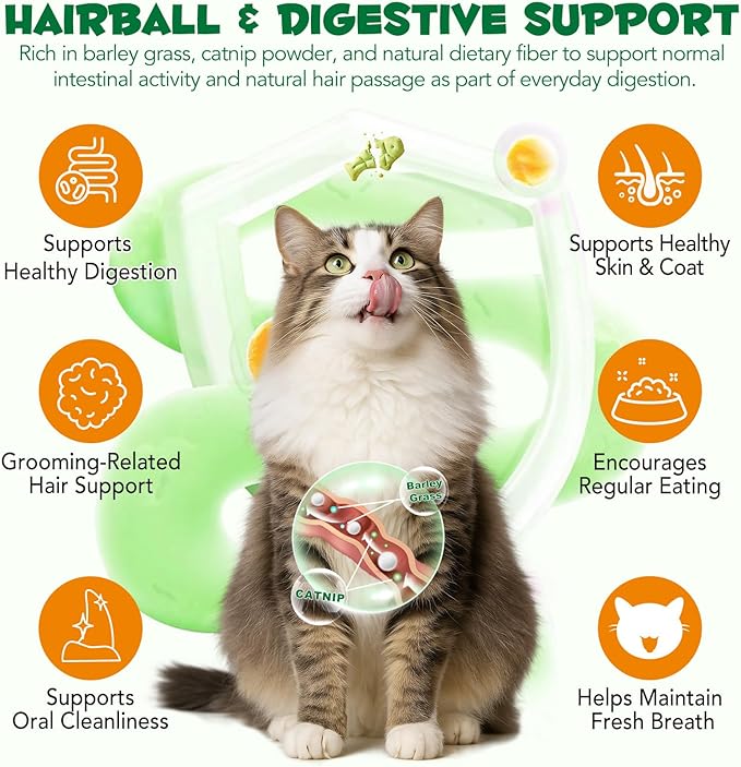 Cat Grass Treats 180g (6.35oz), Catnip Treats for Cats - Hairball Aid & Dental Care Snacks, Natural Fiber for Digestion, Crunchy Teeth Cleaning, No Artificial Additives, All Life Stages