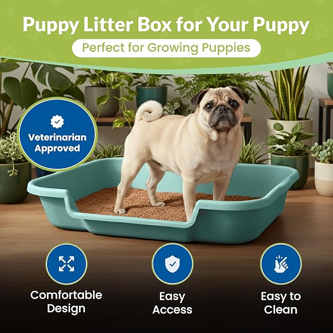Dog Litter Box, Apple Green Color, Large Size, Durable & Pet Safe Puppy Litter Box, Indoor Open Top Entry Dog Litter Pan, Comfortable for Dogs, Great for Dogs up to 20 lbs (2 Pack)