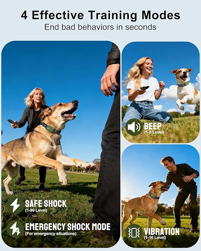 Jugbow Dog Shock Collar - 4200FT Dog Training Collar with Remote, IPX8 Waterproof Electric Dog Collar with 4 Training Modes, Security Lock, Rechargeable eCollar for 10-120lbs Dogs(Green 2 Pack)