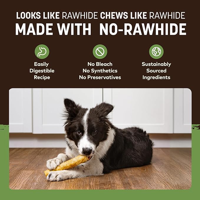 Earth Animal No Hide Chews - Long Lasting Rawhide Free Medium Dog Chews Rolls, Pork - 2 Count