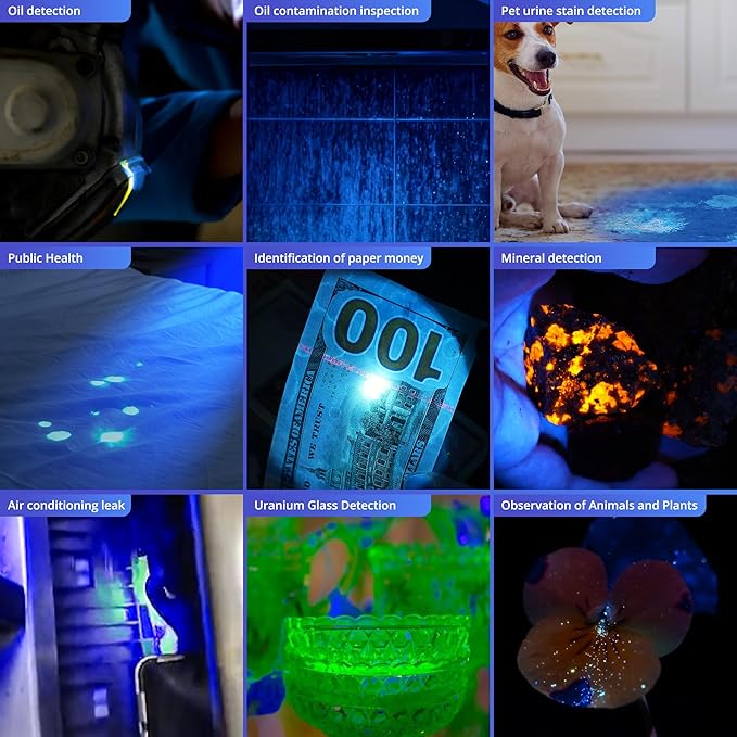 UV Flashlight Black Light, 365nm Blacklight Pet Urine Detector, Rechargeable Blacklight Flashlight for Dog/Cat Urine Stains, Bed Bug, Resin Curing, Scorpions Finder, Grey