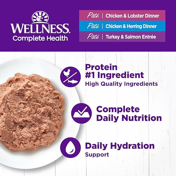 Wellness Complete Health Pate Adult Wet Cat Food,Natural,Protein-Rich,Grain-Free,3 Ounce,(Seafood Favorites Variety Pack),(Pack of 48)