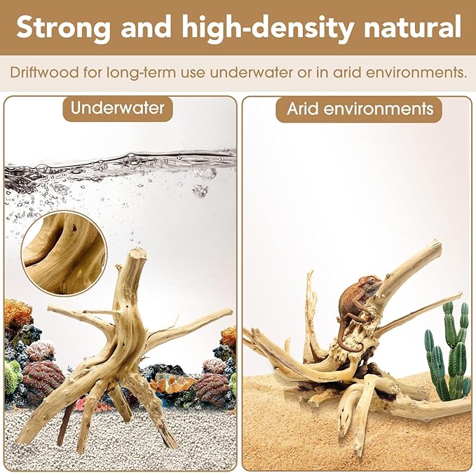 Jorewood Natural Small Spiderwood Driftwood for Aquarium Decor Rptile Fish Tank Decoration Assort Branch 4-7'' 8 Pcs