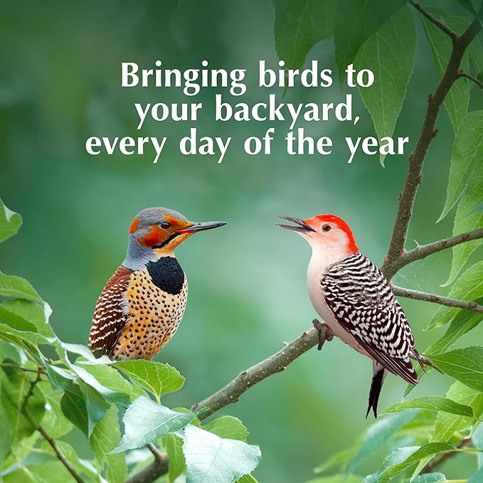 C&S Woodpecker Delight No Melt Suet Dough, Suet Cakes for Wild Birds, 11.75 Ounces, Pack of 8